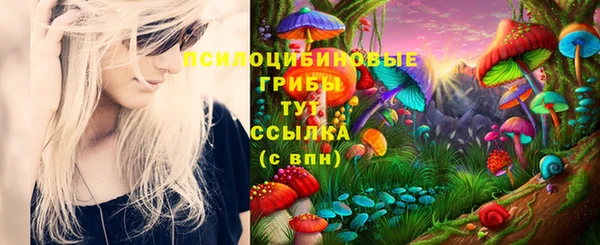 скорость Алзамай