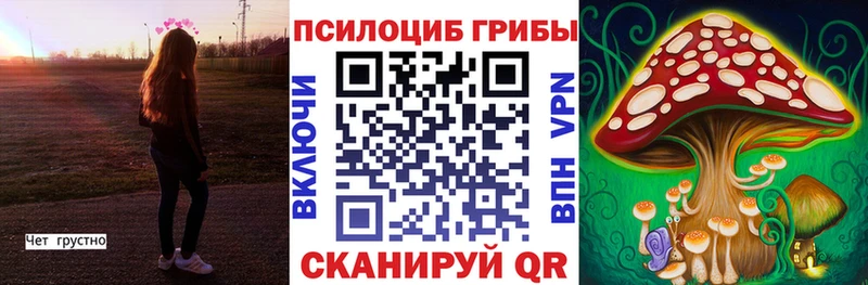 Галлюциногенные грибы ЛСД  кракен сайт  Алупка 